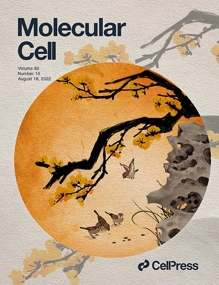 Célula molecular