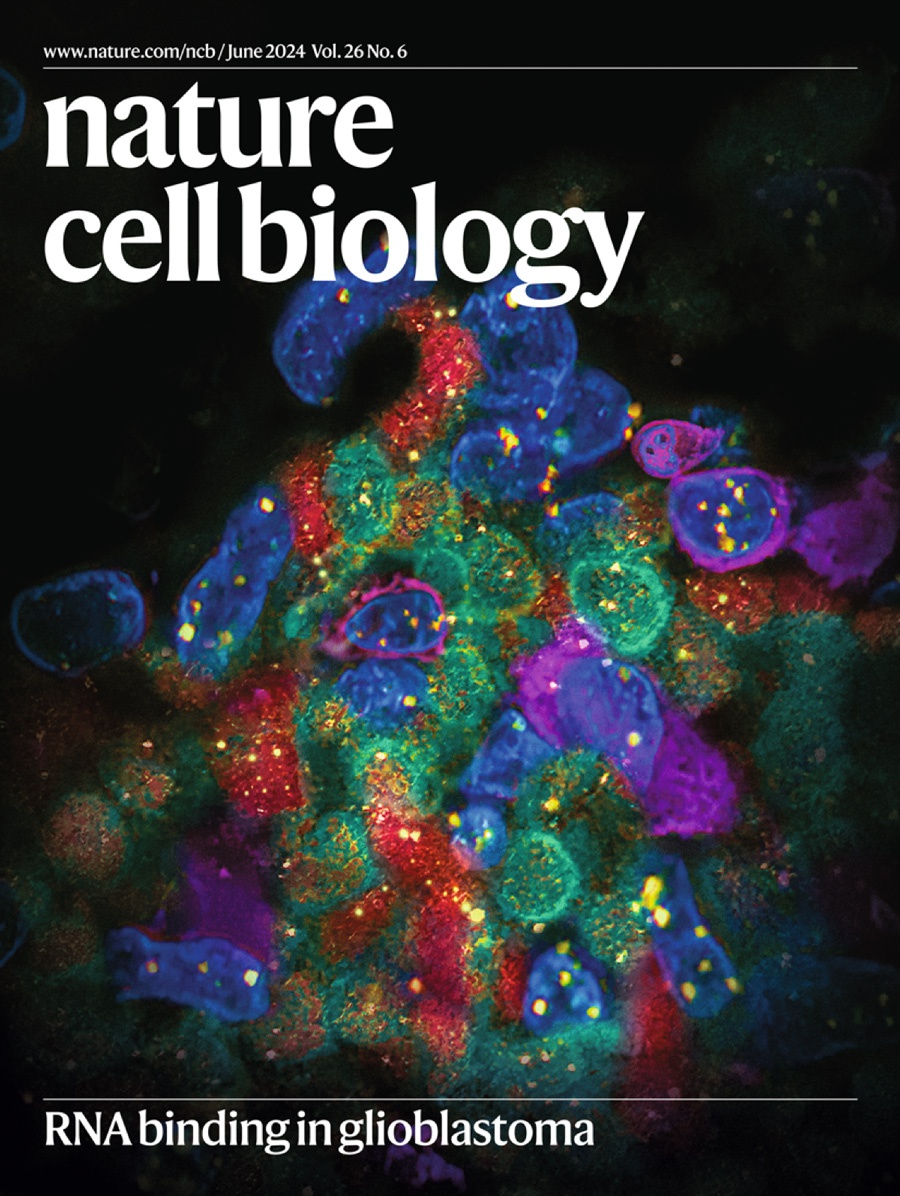 『Artículo de portada』Descifrando el microambiente tumoral: ¡cómo las proteínas de unión ARN-ARN revelan nuevos objetivos para el tratamiento del glioblastoma IDH de tipo salvaje!