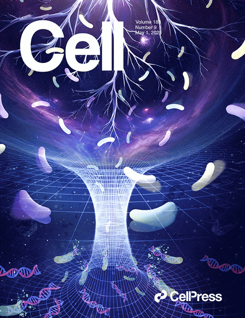 『La portada diseñada por Sondii apareció en Cell』Desbloqueando los secretos de los microbios de la rizosfera de los cultivos: ¡Presentamos dos bibliotecas de genes importantes, CRBC y CRVC!