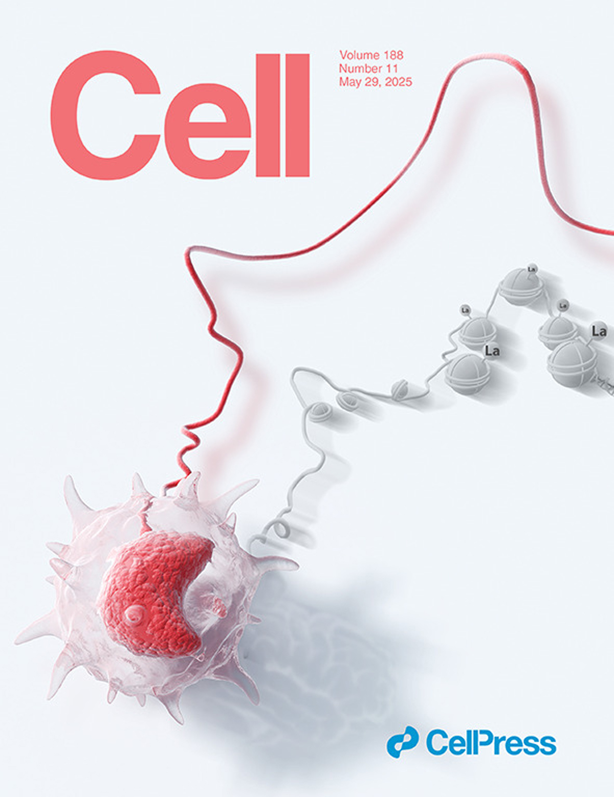 『La portada diseñada por Sondii apareció en Cell』¡Descifrando el 