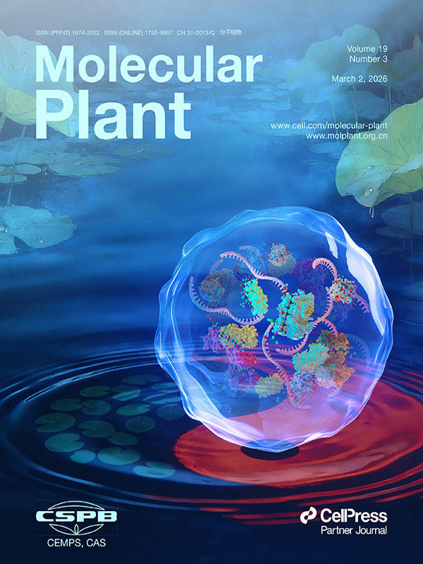 «Historia de Portada» Obra de Sondii Destacada en Molecular Plant: Los Gránulos de Estrés y la Glutatiomilación Construyen una Barrera Defensiva Redox Celular en Arabidopsis